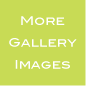 moregalleryimages